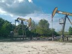 pompa-angguk-wilayah-kerja-wk-rokan-pt-pertamina-hulu-rokan-phr-cnbc-indonesiapratama-guitarra-1_169 Foto: Pompa angguk Wilayah Kerja (WK) Rokan PT Pertamina Hulu Rokan (PHR). (CNBC Indonesia/Pratama Guitarra)